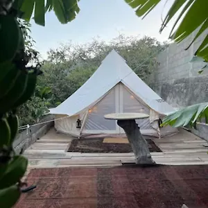 Campo de lujo Yurt In Avocado Garden, Güímar